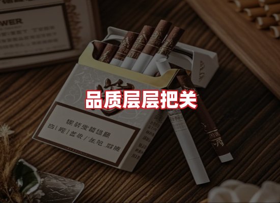 专业团队